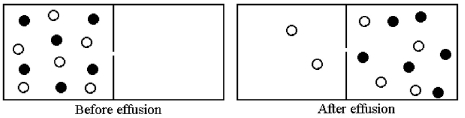 Effusion of a 1:1 mixture of two gases,represented by unshaded and shaded spheres in the diagram below,through a small pinhole produces the result shown below.The shaded spheres have a molecular mass of 32 amu.Which gas molecules have the higher average speed and what is the molecular mass of the unshaded molecules?   A) Unshaded molecules have higher average speed and molecular mass = 14 amu B) Unshaded molecules have higher average speed and molecular mass = 21 amu C) Unshaded molecules have lower average speed and molecular mass = 48 amu D) Unshaded molecules have lower average speed and molecular mass = 72 amu