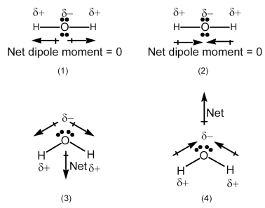 Which drawing best accounts for the polarity of water,H<sub>2</sub>O,and the bond polarities that make a major contribution to the overall molecular polarity?   A) drawing (1)  B) drawing (2)  C) drawing (3)  D) drawing (4) 