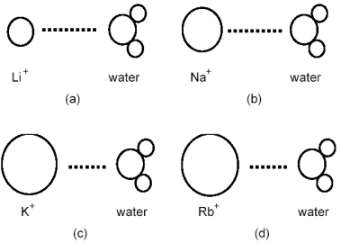 Which ion-dipole interaction results in the larger (more negative) hydration energy?   A) diagram (a)  B) diagram (b)  C) diagram (c)  D) diagram (d) 