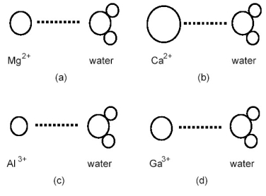Which ion-dipole interaction results in the larger (more negative) hydration energy?   A) diagram (a)  B) diagram (b)  C) diagram (c)  D) diagram (d) 