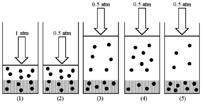 Drawing (1) shows a system in which an equilibrium exists between dissolved and undissolved gas particles at P = 1 atm.According to Henry's law,if the pressure is decreased to 0.5 atm and equilibrium is restored,which drawing (2) -(5) best represents the equilibrium at 0.5 atm?   A) drawing (2)  B) drawing (3)  C) drawing (4)  D) drawing (5) 