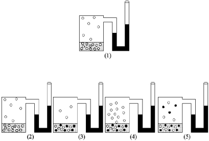 Drawing (1) shows the equilibrium vapor pressure of a pure liquid.Which drawing (2) -(5) represents the equilibrium vapor pressure when a nonvolatile solute is dissolved in the liquid?   A) drawing (2)  B) drawing (3)  C) drawing (4)  D) drawing (5) 