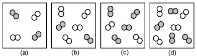 The relative initial rates of the reaction A<sub>2</sub> + B<sub>2</sub> → products in vessels (a) -(d) are 1:1:4:4.Unshaded spheres represent A<sub>2</sub> molecules,and shaded spheres represent B<sub>2</sub> molecules present at the beginning of the reaction.   -What is the rate law for this reaction? A) Rate = k[A<sub>2</sub>]<sup>2</sup> B) Rate = k[B<sub>2</sub>]<sup>2</sup> C) Rate = k[A<sub>2</sub>][B<sub>2</sub>] D) Rate = k[A<sub>2</sub>]<sup>2</sup>[B<sub>2</sub>]<sup>2</sup>