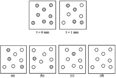 Consider the first-order reaction A → B in which A molecules (shaded spheres) are converted to B molecules (unshaded spheres) .   -Which drawing (a) -(d) represents the reaction mixture at t = 3 minutes? A) drawing (a)  B) drawing (b)  C) drawing (c)  D) drawing (d) 