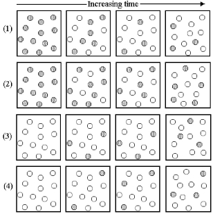 Consider the interconversion of A molecules (shaded spheres) and B molecules (unshaded spheres) according to the reaction A ⇌ B.Each of the following series of pictures represents a separate experiment in which time increases from left to right.   -Which of these experiments has resulted in an equilibrium state? A) all of the experiments except experiment (1)  B) all of the experiments except experiment (2)  C) all of the experiments except experiment (3)  D) all of the experiments except experiment (4) 