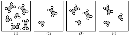 The following pictures represent mixtures of A<sub>2</sub>B<sub>4</sub> molecules and AB<sub>2</sub> molecules,which interconvert according to the equation A<sub>2</sub>B<sub>4</sub> ⇌ 2 AB<sub>2</sub>.If mixture (1) is at equilibrium,which of the other mixtures are also at equilibrium?   A) mixture (2)  B) mixture (3)  C) mixture (4)  D) None of the other mixtures are at equilibrium.