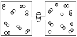 Consider the reaction A + B ⇌ 2 AB.The vessel on the right contains an equilibrium mixture of A atoms (shaded spheres) ,B atoms (unshaded spheres) ,and AB molecules.   -If the barrier between the two vessels is removed and the contents of the two vessels are allowed to mix,what will be observed? A) The reaction will go in the forward direction decreasing the number of A atoms and B atoms and increasing the number of AB molecules. B) The reaction will go in the forward direction increasing the number of A atoms and B atoms and decreasing the number of AB molecules. C) The reaction will go in the reverse direction decreasing the number of A atoms and B atoms and increasing the number of AB molecules. D) The reaction will go in the reverse direction increasing the number of A atoms and B atoms and decreasing the number of AB molecules.