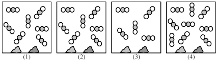 Picture (1) represents an equilibrium mixture of solid CaCO<sub>3</sub>,solid CaO,and gaseous CO<sub>2</sub>,obtained as a result of the endothermic decomposition of CaCO<sub>3</sub>.   -Which picture (2) -(4) represents the equilibrium mixture when more solid CaCO<sub>3</sub> is added? A) picture (2)  B) picture (3)  C) picture (4)  D) All of these