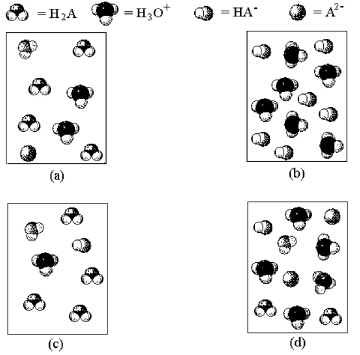    -Which of the above pictures represents a solution of a diprotic acid H<sub>2</sub>A for which K<sub>a1</sub> =  \infty  and K<sub>a2</sub> is exceptionally small.(Water molecules have been omitted for clarity. )  A) picture (a)  B) picture (b)  C) picture (c)  D) picture (d)  