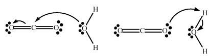 CO<sub>2</sub> reacts with H<sub>2</sub>O to form HCO<sub>3</sub><sup>-</sup> and H<sup>+</sup>.Which picture below correctly represents the curved arrow notation for the initial Lewis acid-Lewis base interaction in this reaction;what is the Lewis acid and the Lewis base?   (1) (2)  A) Picture (1) is correct;H<sub>2</sub>O is the Lewis acid and CO<sub>2</sub> is the Lewis base. B) Picture (1) is correct;CO<sub>2</sub> is the Lewis acid and H<sub>2</sub>O is the Lewis base. C) Picture (2) is correct;H<sub>2</sub>O is the Lewis acid and CO<sub>2</sub> is the Lewis base. D) Picture (2) is correct;CO<sub>2</sub> is the Lewis acid and H<sub>2</sub>O is the Lewis base.