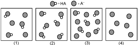 The following pictures represent solutions that contain a weak acid HA and/or its potassium salt KA.Unshaded spheres represent H atoms and shaded spheres represent A<sup>-</sup> ions.(K<sup>+</sup>,H<sub>3</sub>O<sup>+</sup>,OH<sup>-</sup>,and solvent H<sub>2</sub>O molecules have been omitted for clarity. )    -Which of the solutions are buffer solutions? A) (1) and (2)  B) (1) and (3)  C) (2) and (3)  D) (2) and (4) 