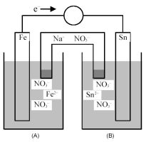 Consider the following galvanic cell.   -Identify the anode and cathode,and indicate the direction of Na<sup>+</sup> ion and NO<sub>3</sub><sup>-</sup> ion flow from the salt bridge. A) Fe is the anode and Sn is the cathode;Na<sup>+</sup> ions flow into half-cell compartment (A) and NO<sub>3</sub><sup>-</sup> ions flow into half-cell compartment (B) . B) Fe is the anode and Sn is the cathode;NO<sub>3</sub><sup>-</sup> ions flow into half-cell compartment (A) and Na<sup>+</sup> ions flow into half-cell compartment (B) . C) Sn is the anode and Fe is the cathode;Na<sup>+</sup> ions flow into half-cell compartment (A) and NO<sub>3</sub><sup>-</sup> ions flow into half-cell compartment (B) . D) Sn is the anode and Fe is the cathode;NO<sub>3</sub><sup>-</sup> ions flow into half-cell compartment (A) and Na<sup>+</sup> ions flow into half-cell compartment (B) .