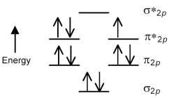 The following molecular orbital energy level diagram shows the energies and occupancies of the MOs derived from the atomic 2p orbitals for an oxygen-containing binary compound of potassium.This compound is a   A) peroxide that is attracted by magnetic fields. B) peroxide that is repelled by magnetic fields. C) superoxide that is attracted by magnetic fields. D) superoxide that is repelled by magnetic fields.
