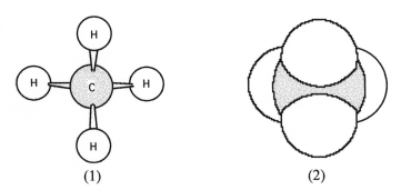 Shown are ball-and-stick (1) and space-filling (2) models of methane.   -What is the H-C-H bond angle? A) 90° B) 109.5° C) 120° D) 180°