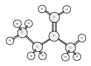 To which family does this organic compound belong?   A) alkane B) alkene C) alkyne D) arene