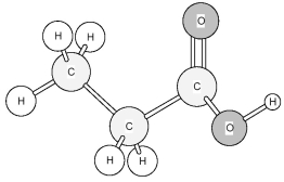 To which family does this organic compound belong? A) amide B) amine C) carboxylic acid D) ester