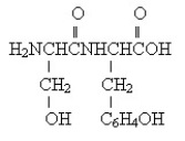 Which of the following notations represents the dipeptide shown below?   A) Phe-Thr B) Thr-Phe C) Ser-Tyr D) Tyr-Ser