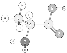 Identify the amino acid shown below.   A) Alanine (Ala)  B) Glycine (Gly)  C) Isoleucine (Ile)  D) Leucine (Leu) 