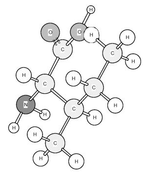 Identify the amino acid shown below.   A) Alanine (Ala)  B) Glycine (Gly)  C) Isoleucine (Ile)  D) Leucine (Leu) 