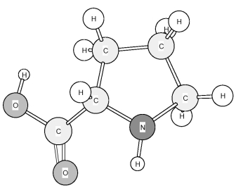 Identify the amino acid shown below.   A) Methionine (Met)  B) Phenylalanine (Phe)  C) Proline (Pro)  D) Tryptophan (Trp) 