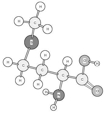 Identify the amino acid shown below.   A) Methionine (Met)  B) Phenylalanine (Phe)  C) Proline (Pro)  D) Tryptophan (Trp) 