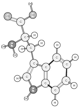 Identify the amino acid shown below.   A) Methionine (Met)  B) Phenylalanine (Phe)  C) Proline (Pro)  D) Tryptophan (Trp) 