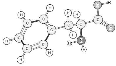 Identify the amino acid shown below.   A) Methionine (Met)  B) Phenylalanine (Phe)  C) Proline (Pro)  D) Tryptophan (Trp) 