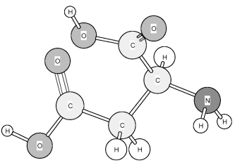 Identify the amino acid shown below.   A) Asparagine (Asn)  B) Aspartic acid (Asp)  C) Glutamic acid (Glu)  D) Glutamine (Gln) 
