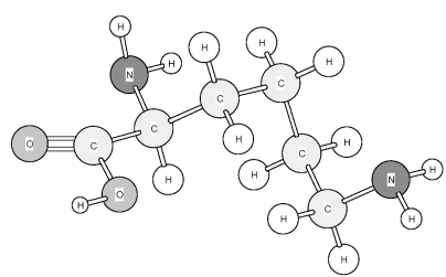 Identify the amino acid shown below.   A) Arganine (Arg)  B) Histidine (His)  C) Lysine (Lys)  D) Valine (Val) 