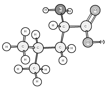 Based on the structure of its side chains,the amino acid shown below can be classified as   A) acidic. B) basic. C) neutral,non-polar. D) neutral,polar.