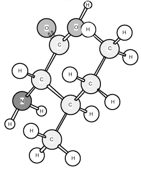 Based on the structure of its side chains,the amino acid shown below can be classified as   A) acidic. B) basic. C) neutral,non-polar. D) neutral,polar.