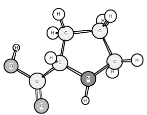 Based on the structure of its side chains,the amino acid shown below can be classified as   A) acidic. B) basic. C) neutral,non-polar. D) neutral,polar.