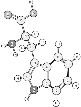 Based on the structure of its side chains,the amino acid shown below can be classified as   A) acidic. B) basic. C) neutral,non-polar. D) neutral,polar.