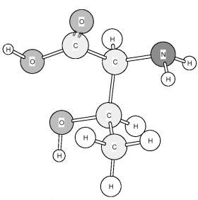Based on the structure of its side chains,the amino acid shown below can be classified as   A) acidic. B) basic. C) neutral,non-polar. D) neutral,polar.