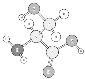 Based on the structure of its side chains,the amino acid shown below can be classified as   A) acidic. B) basic. C) neutral,non-polar. D) neutral,polar.