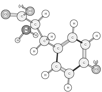 Based on the structure of its side chains,the amino acid shown below can be classified as   A) acidic. B) basic. C) neutral,non-polar. D) neutral,polar.