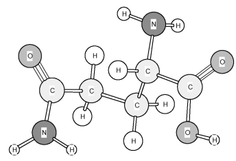 Based on the structure of its side chains,the amino acid shown below can be classified as   A) acidic. B) basic. C) neutral,non-polar. D) neutral,polar.