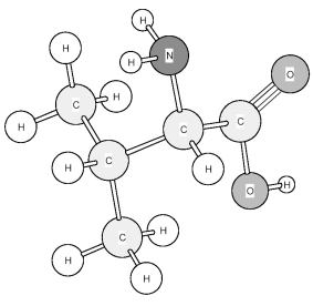 Based on the structure of its side chains,the amino acid shown below can be classified as   A) acidic. B) basic. C) neutral,non-polar. D) neutral,polar.