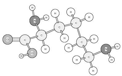 Based on the structure of its side chains,the amino acid shown below can be classified as   A) acidic. B) basic. C) neutral,non-polar. D) neutral,polar.