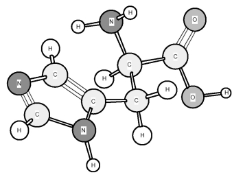 Based on the structure of its side chains,the amino acid shown below can be classified as   A) acidic. B) basic. C) neutral,non-polar. D) neutral,polar.