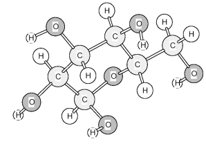 Is the following model of glucose in the α form or the β form?   A) α form B) β form