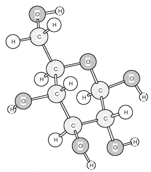 Is the following model of glucose in the α form or the β form?   A) α form B) β form