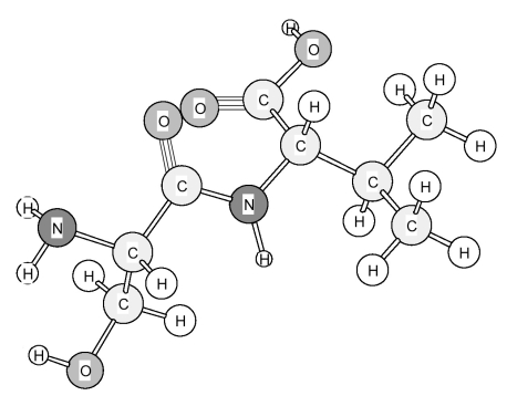 Identify the following dipeptide.   A) Ser-Ala B) Ser-Leu C) Ser-Phe D) Ser-Val