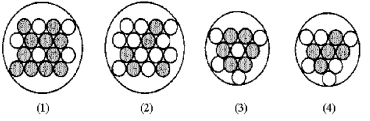 Which of the following figures represents   B? Unshaded spheres represent neutrons and shaded spheres represent protons.   A) figure (1)  B) figure (2)  C) figure (3)  D) figure (4) 