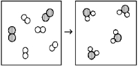 What is the balanced chemical equation for the reaction of element A (unshaded spheres) with element B (shaded spheres) as represented below?   A) A + B → AB B) 4A + 2B → 4AB C) A<sub>2</sub> + B<sub>2</sub> → A<sub>2</sub>B D) 2A<sub>2</sub> + B<sub>2</sub> → 2A<sub>2</sub>B