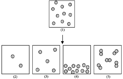 Box (1) represents 1.0 mL of a solution of particles at a given concentration.   -Which of the boxes (2) -(5) represents 1.0 mL of the solution that results after (1) has been diluted by adding enough solvent to make 5.0 mL of solution? A) box (2)  B) box (3)  C) box (4)  D) box (5) 