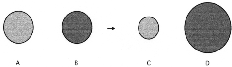The following four spheres represent a metal atom,a nonmetal atom,a monatomic anion and a monatomic cation,not necessarily in that order.   -Which sphere represents the monatomic anion? A) A B) B C) C D) D