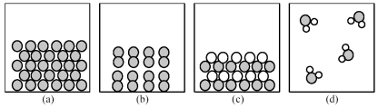   -Which of the above pictures best represents a solid ionic compound? A) picture (a)  B) picture (b)  C) picture (c)  D) picture (d) 