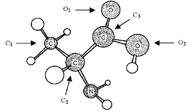 The following ball-and-stick molecular model is a representation of the amino acid alanine (unshaded spheres = H) .Only the connections between atoms are shown;multiple bonds and nonbonded electrons are not indicated.   -In order to complete an electron-dot structure of alanine,the oxygen atom labeled O<sub>2</sub> needs A) 1 additional bond and 1 nonbonded pair of electrons. B) 1 additional bond and 2 nonbonded pairs of electrons. C) 1 nonbonded pair of electrons. D) 2 nonbonded pairs of electrons.