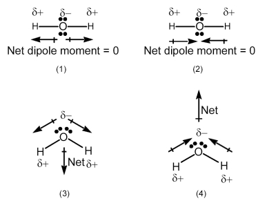 Which drawing best accounts for the polarity of water,H<sub>2</sub>O,and the bond polarities that make a major contribution to the overall molecular polarity?   A) drawing (1)  B) drawing (2)  C) drawing (3)  D) drawing (4) 